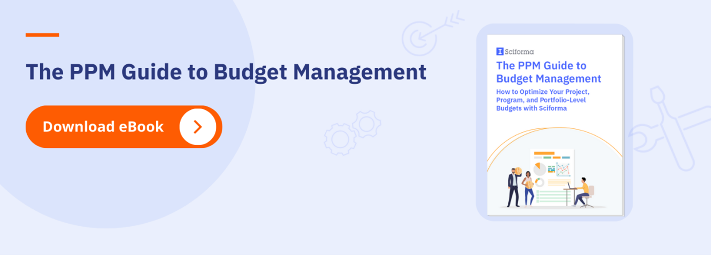 PPM guide for budget management